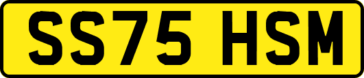 SS75HSM