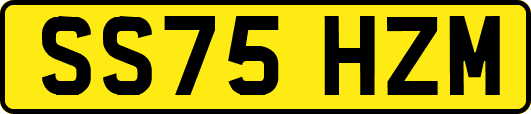 SS75HZM