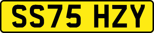 SS75HZY