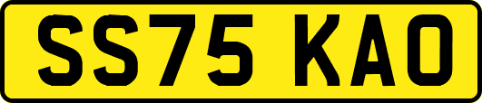 SS75KAO