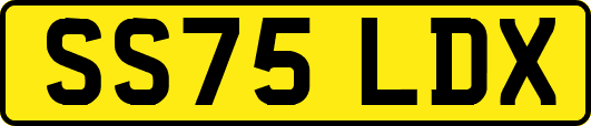 SS75LDX