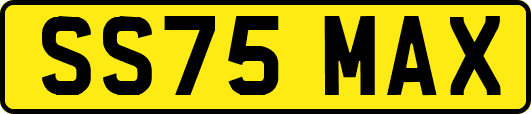 SS75MAX