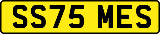 SS75MES