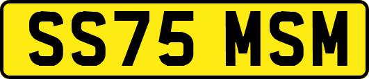 SS75MSM
