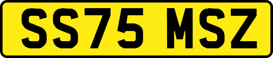 SS75MSZ
