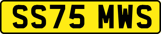 SS75MWS