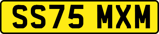 SS75MXM