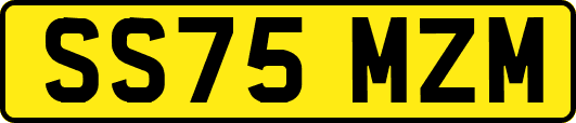 SS75MZM