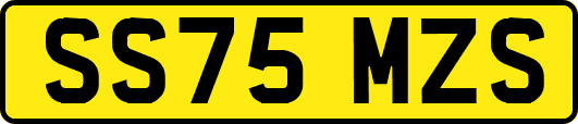 SS75MZS