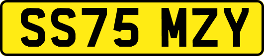 SS75MZY