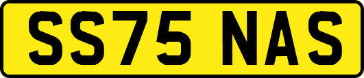 SS75NAS