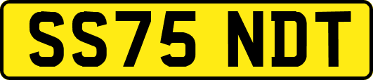 SS75NDT