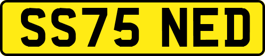 SS75NED
