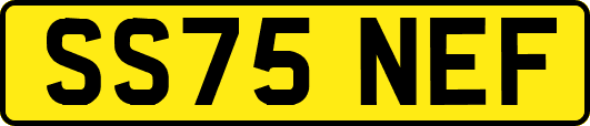 SS75NEF