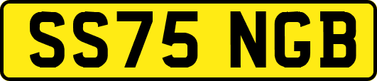 SS75NGB