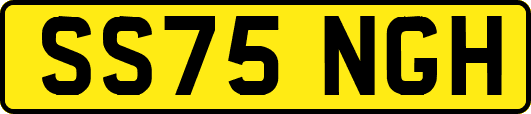 SS75NGH