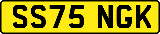 SS75NGK