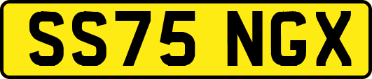 SS75NGX