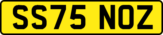 SS75NOZ