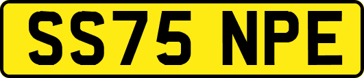 SS75NPE