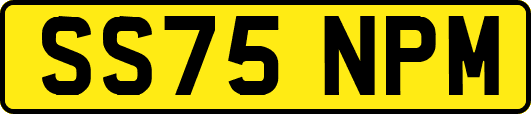 SS75NPM