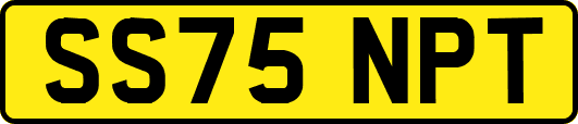 SS75NPT