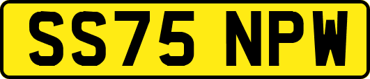 SS75NPW
