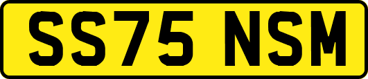 SS75NSM