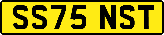 SS75NST