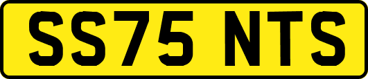 SS75NTS