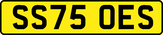 SS75OES