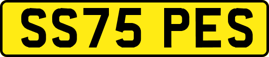 SS75PES