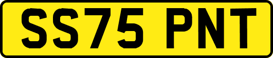 SS75PNT