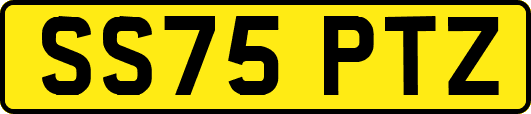 SS75PTZ