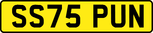 SS75PUN