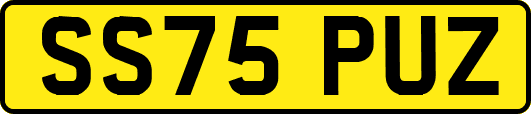 SS75PUZ
