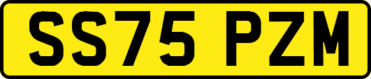 SS75PZM