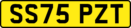 SS75PZT