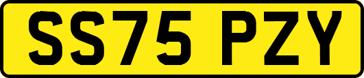 SS75PZY
