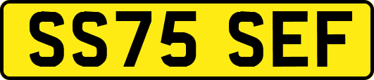 SS75SEF