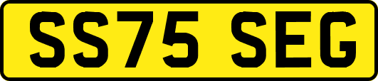 SS75SEG
