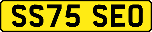 SS75SEO