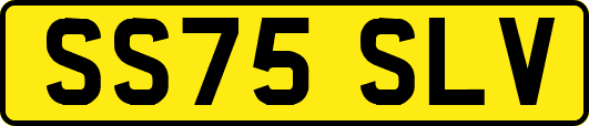 SS75SLV