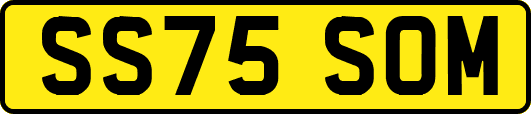 SS75SOM