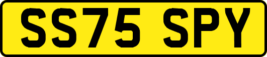 SS75SPY