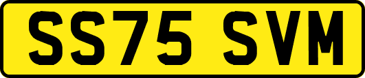 SS75SVM