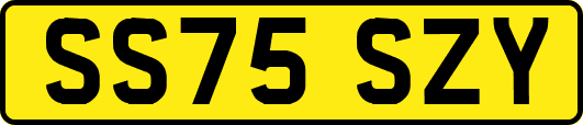 SS75SZY