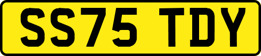 SS75TDY