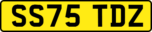 SS75TDZ
