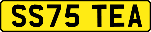 SS75TEA